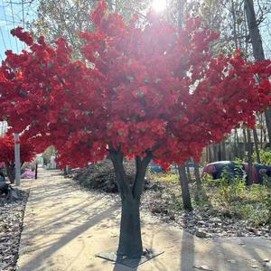 עץ פרחי משי גדול, עץ פרחי דובדבן מלאכותי, צמח פריחה מלאכותי גדול, עצי פריחה לחתונה, עץ דובדבן - Product Image 1