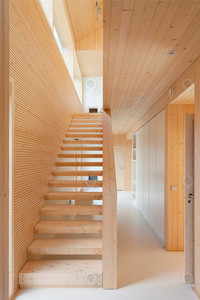<span class=keywords><strong>Escalier</strong></span> flottant PRIMA en <span class=keywords><strong>bois</strong></span> de noyer au design minimaliste, <span class=keywords><strong>marches</strong></span> en <span class=keywords><strong>bois</strong></span> modernes pour l'intérieur, montées au sol - Product Image 5