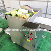 Instelbare industriële machine voor het splitsen en halveren van fruit, groenten, pompoen en wintermeloen met grote capaciteit voor voedselverwerkingsapparatuur