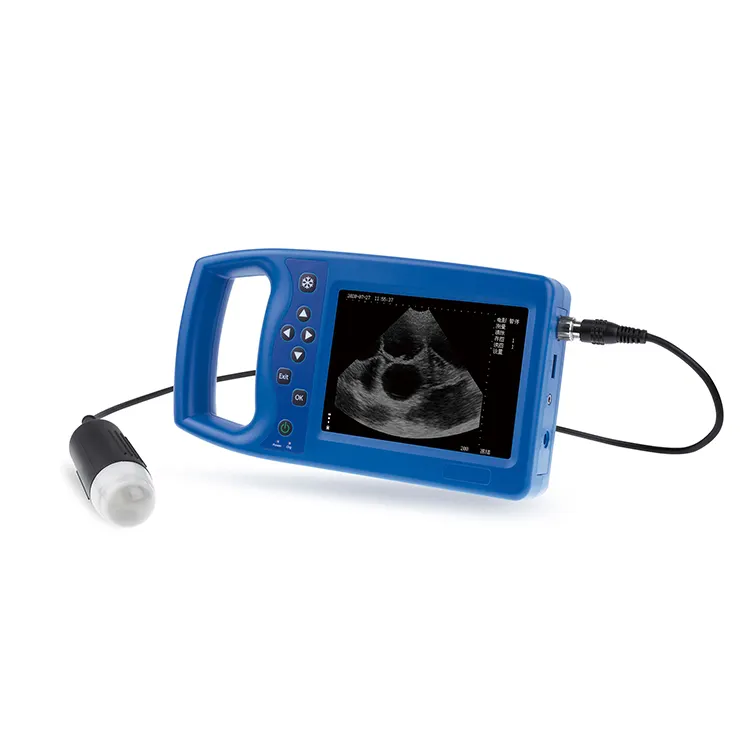 Instrument à ultrasons médical vétérinaire entièrement numérique Portable pour porc de chien canin de mouton pour machine à ultrasons vétérinaire