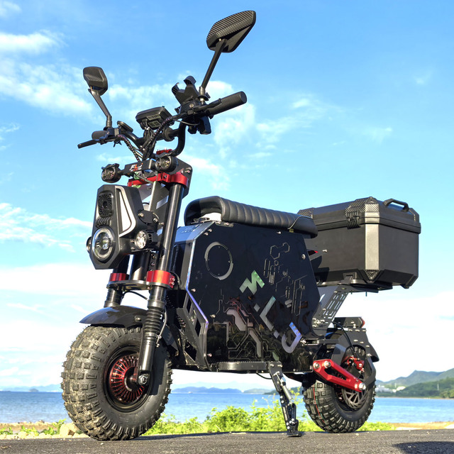 FLJ High Powerful 72V 100Ah Electric Scooter with Removable Battery and App 14 Inch US Stock Electric Scooter with Trunk