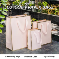 Bolsas de Papel Ecológicas de Lujo Wins Flying, Impresión al por Mayor con Asa de Cinta, Logotipo Personalizado de Alta Calidad