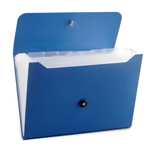 Beste Prijs 13 Pocket Uitbreidende Bestandsmap Organisator Uitbreidbare Draagbare Maandelijkse Factuur/Ontvangstbevestiging Organisator Accordeon Bestand Organizer