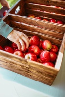 Appelfabriek Levering 2022 Nieuwe Oogst Verse Appel Groothandel Vers Fruit Rode Appelfruit Uit China