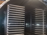 10 mètres carrés ligne de Machine de lyophilisation sous vide commerciale nourriture pour animaux de compagnie thé à la fraise