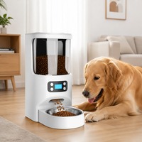Distributeur de nourriture pour animaux de compagnie en acier inoxydable écologique à double alimentation, pour aliments secs, mangeoire pour chats, largement utilisé pour les chiens