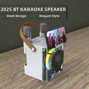 2025 mới chất lượng cao 10W Karaoke Loa RGB Led BT Micro không dây USB OEM/ODM cho các bên ngoài trời sân khấu - Product Image 3