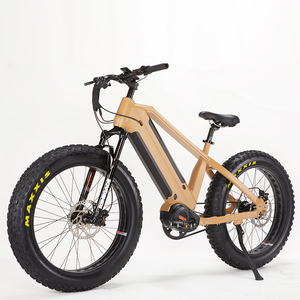 2023 Kép Pin Chất Béo Lốp E Xe Đạp 48V 1000W bafang Giữa Ổ Đĩa Cổng Vành Đai Săn Bắn Xe Đạp Điện - Product Image 1