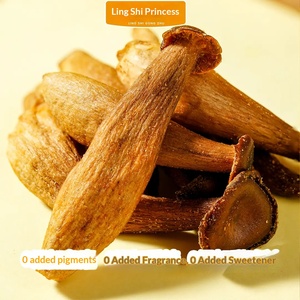 Hanan Pepper Salt Pilose Antler Mushroom Hard Nutritious Salty 25g Henan Snack Saludable Listo para Comer para Aliviar el Hambre - Product Image 2