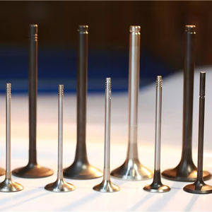 วาล์วไอดีวาล์วไอเสีย N54B30 N20 N46วาล์วไอดีเครื่องยนต์ปลอม N57 <span class=keywords><strong>N52B30</strong></span> N52B25 N63B44 S63B44 - Product Image 2