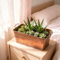 Jardinière rectangulaire en cuivre antique avec poignées, pot de fleurs vintage en métal pour décoration intérieure et extérieure, jardin, maison
