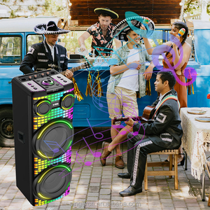 GD-2139 kép 12 inch loa siêu trầm hộp khuếch đại LED đầy màu sắc nhấp nháy ánh sáng bafles loa bằng gỗ chuyên nghiệp - Product Image 6