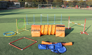 Tunnel d'agilité pour chien étanche 24 pouces Tunnel d'agilité pour chien Sac de sable Formation d'agilité Jouer Tunnel anti-dérapant pour chien - Product Image 6