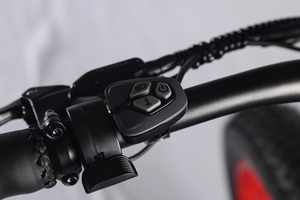<span class=keywords><strong>Bicicleta</strong></span> eléctrica con suspensión completa de 26 pulgadas 1000W BAFANG Mid Drive 20Ah batería de litio Fat Tire EMTB 48V Shimano <span class=keywords><strong>desviador</strong></span> de acero - Product Image 5
