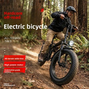 Bicicleta Eléctrica Plegable de Montaña de 48V 700W, Suministro Directo de Fábrica, Ruedas de 20 Pulgadas, Cuadro de Acero de Alto Carbono, Frenos de Disco Delanteros/Traseros para Q7 Fold - Product Image 5