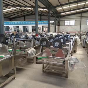 Machine industrielle de séchage des fruits et légumes, élimination de l'eau, traitement des fruits et légumes, sécheuse de fruits et légumes - Product Image 5