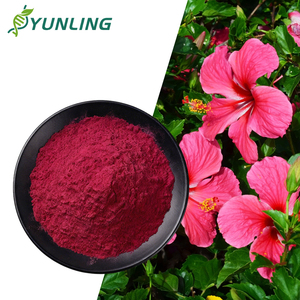 Sıcak Satış Saf Doğal Organik Hibiskus Çiçeği Ekstresi Tozu 10:1 Bitkisel Takviye 1kg Vakumlu Paketlenmiş - Product Image 1