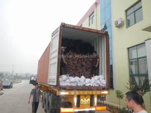 WB6418S 100L Carretilla doble resistente con rueda neumática de 3,50-8 pulgadas Carretilla de rueda de construcción de jardín - Product Image 3