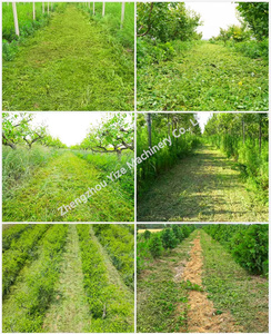 Tagliaerba Telecomandato Semovente Cinese, Trimmer per Erba, Coltivatore Rotativo, Motozappa, Decespugliatore Elettrico - Product Image 2