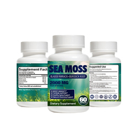 Capsules de mousse marine avec Ashwagandha, suppléments à l'extrait de curcuma et Bioperine pour le bien-être quotidien, la santé de la peau et de la thyroïde (OEM)