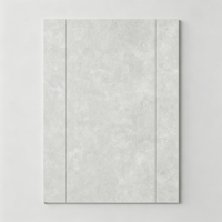 Carreaux de sol en porcelaine haute blancheur, épaisseur 9 mm, 1200x2400 mm, antidérapants, imperméables, durables, écologiques, design moderne
