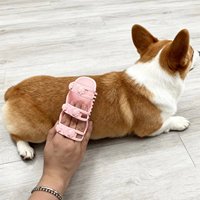 2026 sac pour animaux de compagnie chien épilation peigne de Massage réglable Silicone Massage perte brosse adapté aux jambes de Table