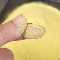 Poudre de pollen de pin certifiée de qualité alimentaire, extrait végétal, multivitamines, polyphénols, extraction par solvant, sac de 1 kg