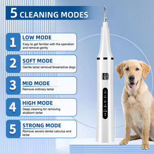 Nettoyeur <span class=keywords><strong>dentaire</strong></span> ultrasonique rechargeable en acier inoxydable pour animaux de compagnie, portable, blanchissant, détartreur <span class=keywords><strong>dentaire</strong></span> pour chiens et chats - Product Image 4