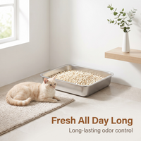 Litière pour chat anti-humidité en tofu brisé, formule à particules concassées, agglomération stable, désodorisation profonde, faible poussière, litière pour animaux à jeter dans les toilettes