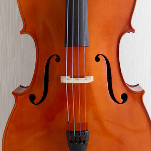 Canni — vernis brillante fait à la main, matière solide, pour étudiants et débutants, avec nœud en Rosin - Product Image 4