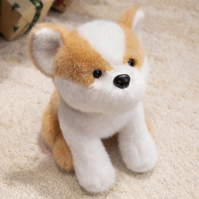 Corgi