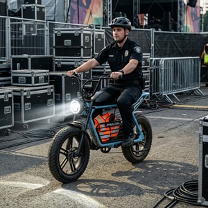 Umweltfreundliches Schwarzes Hybrid-Elektrofahrrad mit 48V 16Ah Lithium-Akku, Park-E-Bike für Gartenpflege - Product Image 5