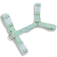 Maßgefertigte Charms Moodies Gepolstertes Plastik Verstellbares Wasserdichtes PVC-Nylon Anti-Zug H-förmiges Hundegeschirr-Set Großhandel Mode
