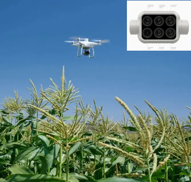 DJI P4 Multispectral mapping drone for Precision agriculture AND Environmental monitoring and inspection