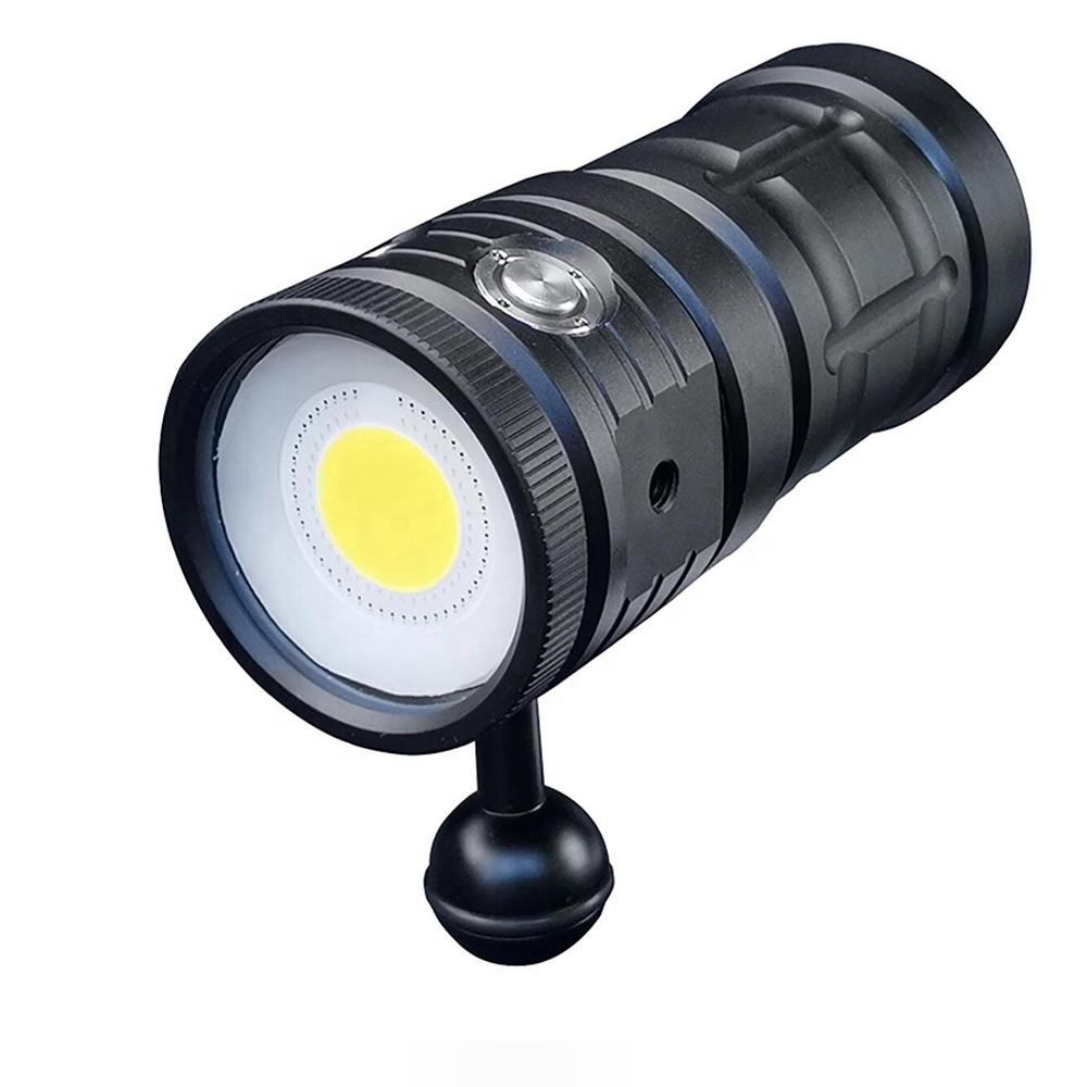 D10 Hot Sale LED Underwater Fill Light