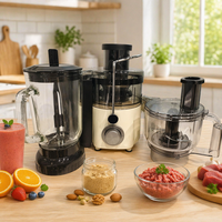 Fruit Sapcentrifuge Blender Mixer Grinder Voedselverwerker Hakselaar Plastic Behuizing 800ml 800W Zelfreinigende Smoothies Maker