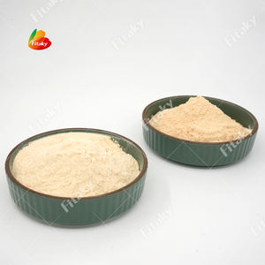 Poudre concentrée pour sauce à l'<span class=keywords><strong>ail</strong></span> Fournisseur de poudre d'<span class=keywords><strong>ail</strong></span> Poudre d'<span class=keywords><strong>ail</strong></span> en Chine - Product Image 3