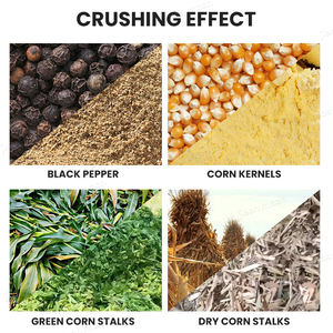 เครื่องบดเมล็ดข้าวโพดแบบไม่ใช้ฝุ่นเครื่องบดอาหารแบบใช้เองใช้ในครัวเรือนเครื่องบดกรงเล็บสำหรับไก่เป็ดและห่าน - Product Image 6