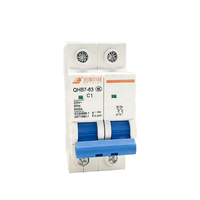 Disjoncteur miniature QIHANG C Curve 2P MCB QHB7-63 C1 230V 50Hz 6KA en plastique, 10000 cycles, montage sur rail, pour boîtier de distribution