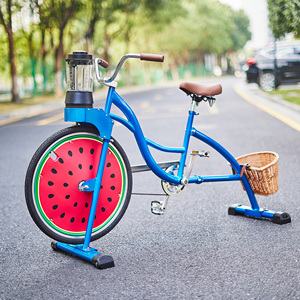 EXI Beach Cruiser Máy Ép Trái Cây Xe Đạp Máy Chế Biến - Product Image 5