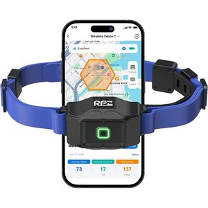 ปลอกคอสุนัขไร้สาย RPZ GPS พร้อมแอพ ไม่ต้องสมัครสมาชิก ขนาดกลาง สีฟ้า ชาร์จไฟได้ สำหรับฝึกสัตว์เลี้ยง - Product Image 1