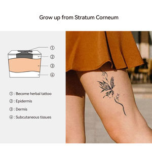 Tatouages temporaires OEM Nature Herbal, autocollants, approuvés par les planètes, à prix équitable, durables 14 jours, blancs, pour application <span class=keywords><strong>sur</strong></span> le visage et le corps - Product Image 1