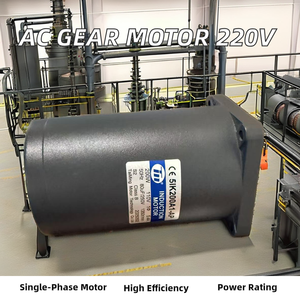 <span class=keywords><strong>TM</strong></span> motore di controllo della velocità 5IK200A1-AP 200W 220V 5RK120A1-CF 5IK60A1-S3F 3IK15RA-C motore a induzione 5IK120A1-CF 3IK15A-S 5IK90A-CF - Product Image 5