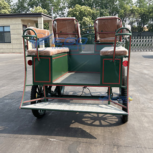 Carruaje de Lujo Verde Personalizado de Cuatro Ruedas para Caballos, Carruaje para Caballos de Maratón, Venta Directa de Fábrica - Product Image 2