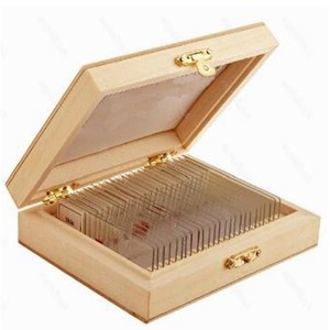 Portaobjetos de microscopio, muestras biológicas, cajas de madera, muestras didácticas, varios conjuntos de muestras, animales y plantas - Product Image 3