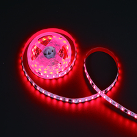 Kit de Bande LED Néon Cuivre RGBIC 5M, Carte Nue, 12V, 4 Fils, Adressable, Effet de Chasse Continue, Publicitaire, SMD5050, IP65