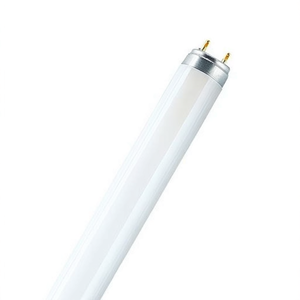 Tube fluorescent standard T8 26mm 18W 6500K - Product Image 2