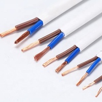 Cable Eléctrico de 2 Núcleos 2x0.75/1/1.5/2.5/4/6mm2 RVVB H03Vvh2-F Plano de PVC Flexible con Aislamiento de Cobre y Conductor Sólido