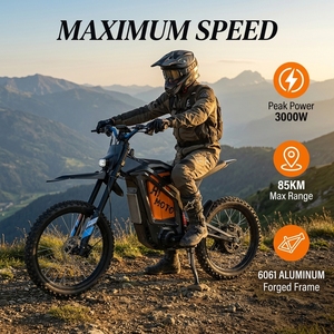 Motocicleta Todoterreno SHANSU SS-9.0 2026, Similar al Modelo Surron LBX L1E Street, Bicicleta Eléctrica de 3000W - Product Image 3