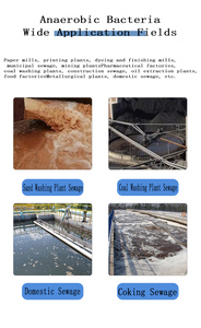 Pó de Ozônio para Equilíbrio de Água Agente Auxiliar para Tratamento Químico de Piscinas Embalado em Saco - Product Image 6